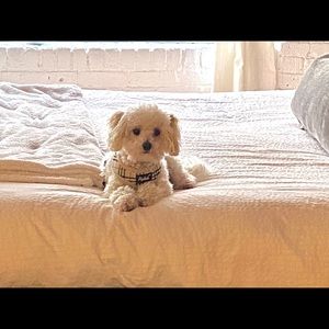 Meet your Posher, Leroy